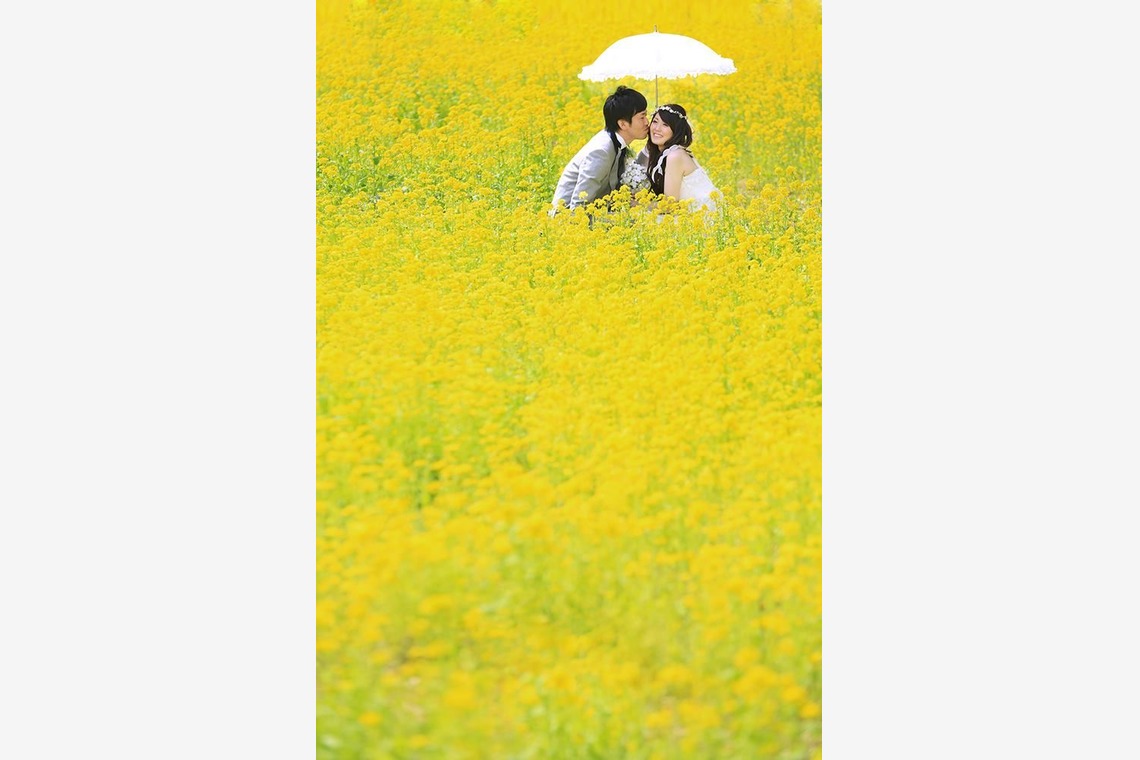 Photo of outdoor pre wedding photos taken by STUDIO AQUA