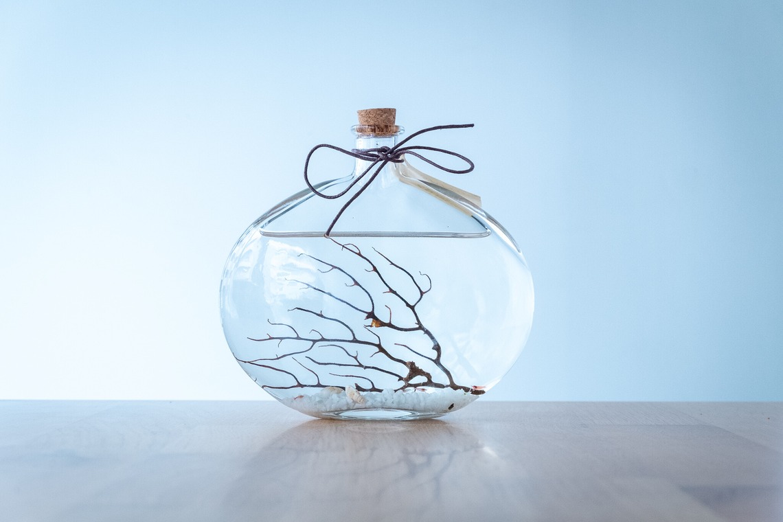 Yossyが撮影した「ECサイト」の写真