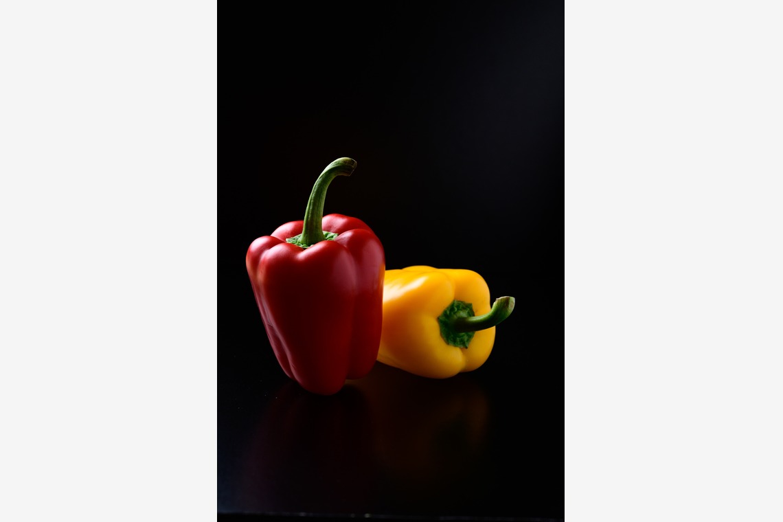 AND KNOTが撮影した「商品・物撮り」の写真