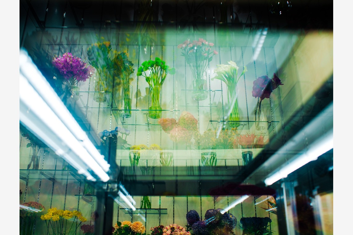 ATELIER SO_MARUが撮影した「企業案件」の写真