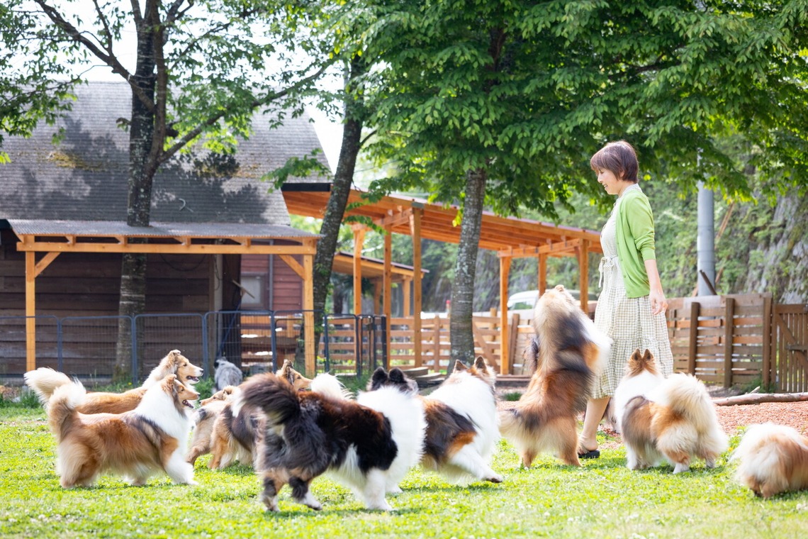 LUCE PHOTO WORKSが撮影した「ペット」の写真