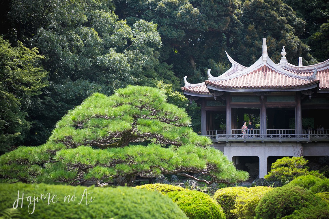 Photo of Location Photo at Shinjyukugyoen taken by Hajime no Ai Photography