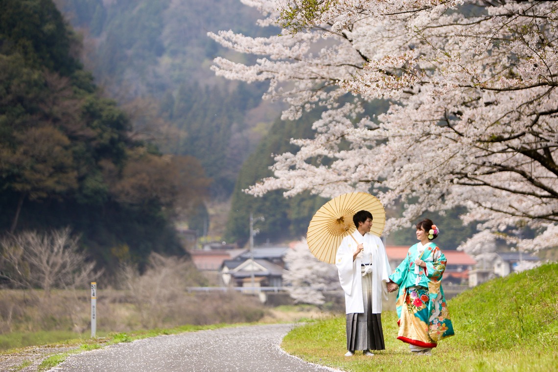 KIKIウェディングが撮影した写真のアルバム「平成最後の桜」