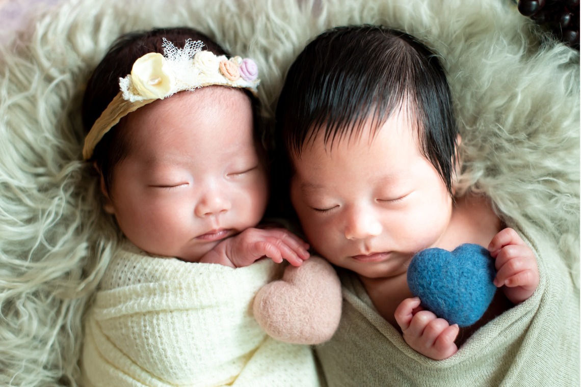サキヤマ リエが撮影したスタジオ撮影のアルバム「白&ベージュ系・ひつじ＆犬・男女の双子ちゃんのニューボーンフォト」