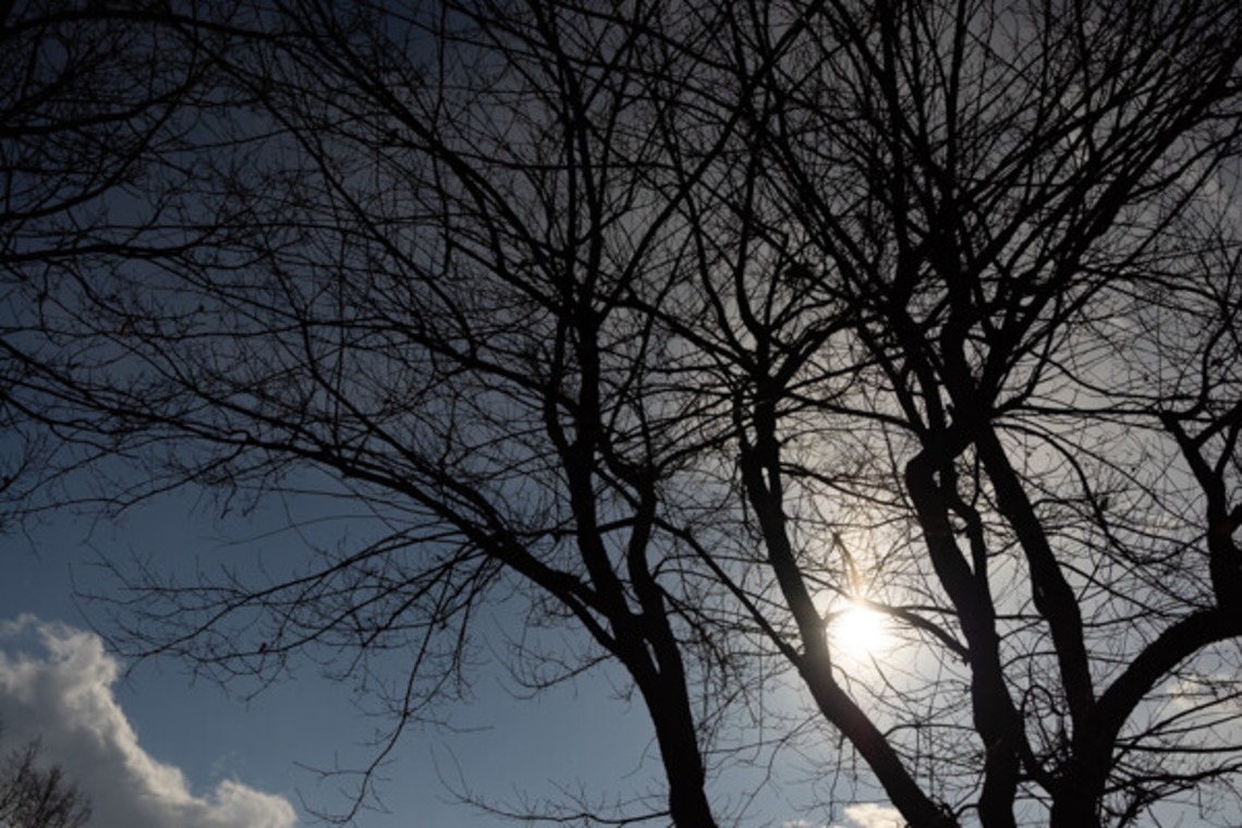 手塚隆弘が撮影した「気ままに」の写真