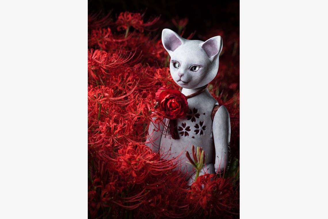 野口　恭平が撮影した写真のアルバム「商品　人形作家の作品」