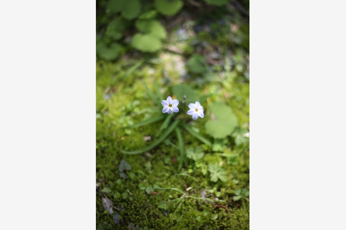 ナカムラが撮影した「」の写真