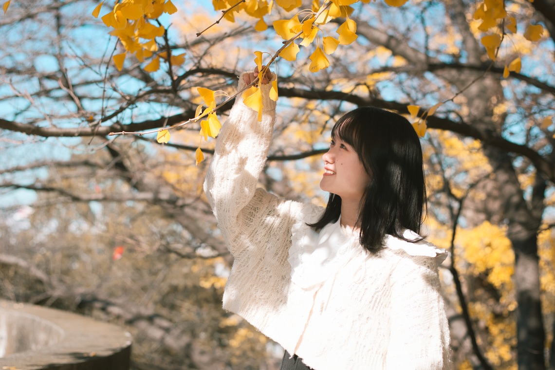 白石智啓が撮影した写真のアルバム「銀杏と人」