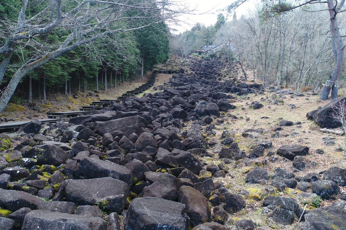リトルダイナソーが撮影した「風景」の写真