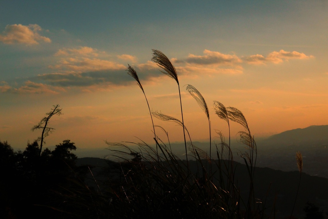 ひときわphotoが撮影した「屋外撮影など」の写真