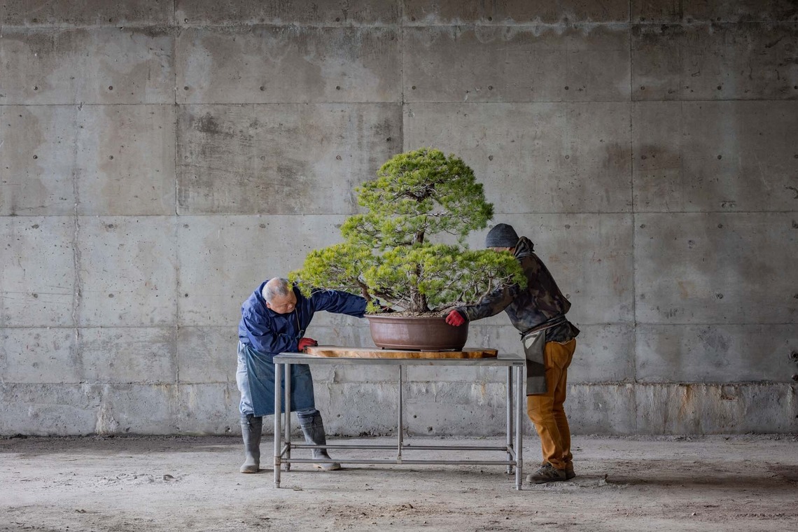 梅田　紫邑が撮影した「店舗内外装、竣工写真、宣材写真」の写真