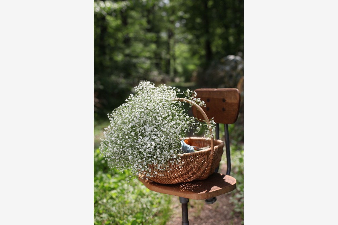 スタジオルクス(古田 麗)が撮影した「広島フォト」の写真