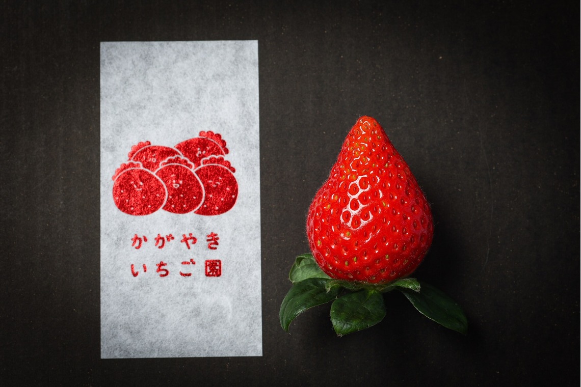 株式会社Neo-Smile 「locationbreeze」高橋 徹が撮影した写真のアルバム「かがやきいちご園様（広告撮影）」