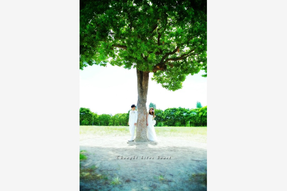 Studio TVB (スタジオtvb)が撮影した「ロケーションフォト」の写真