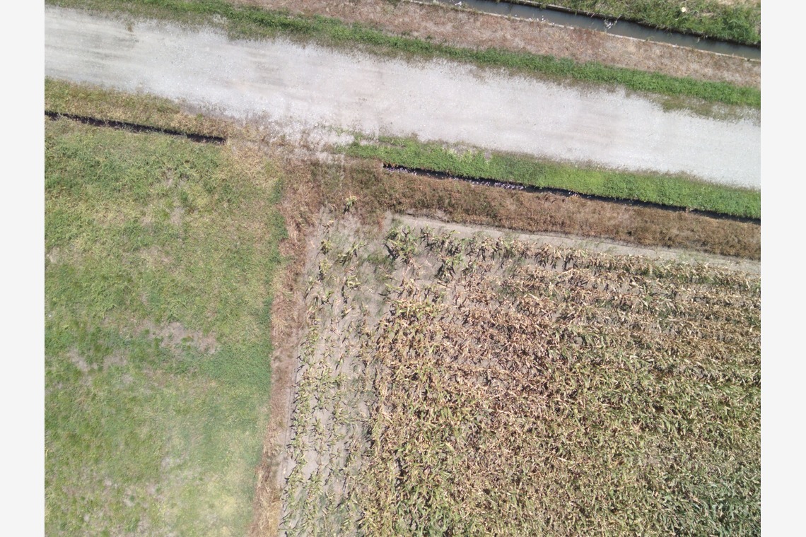 アナハイムエレクトロニクスが撮影した「震災農地調査」の写真