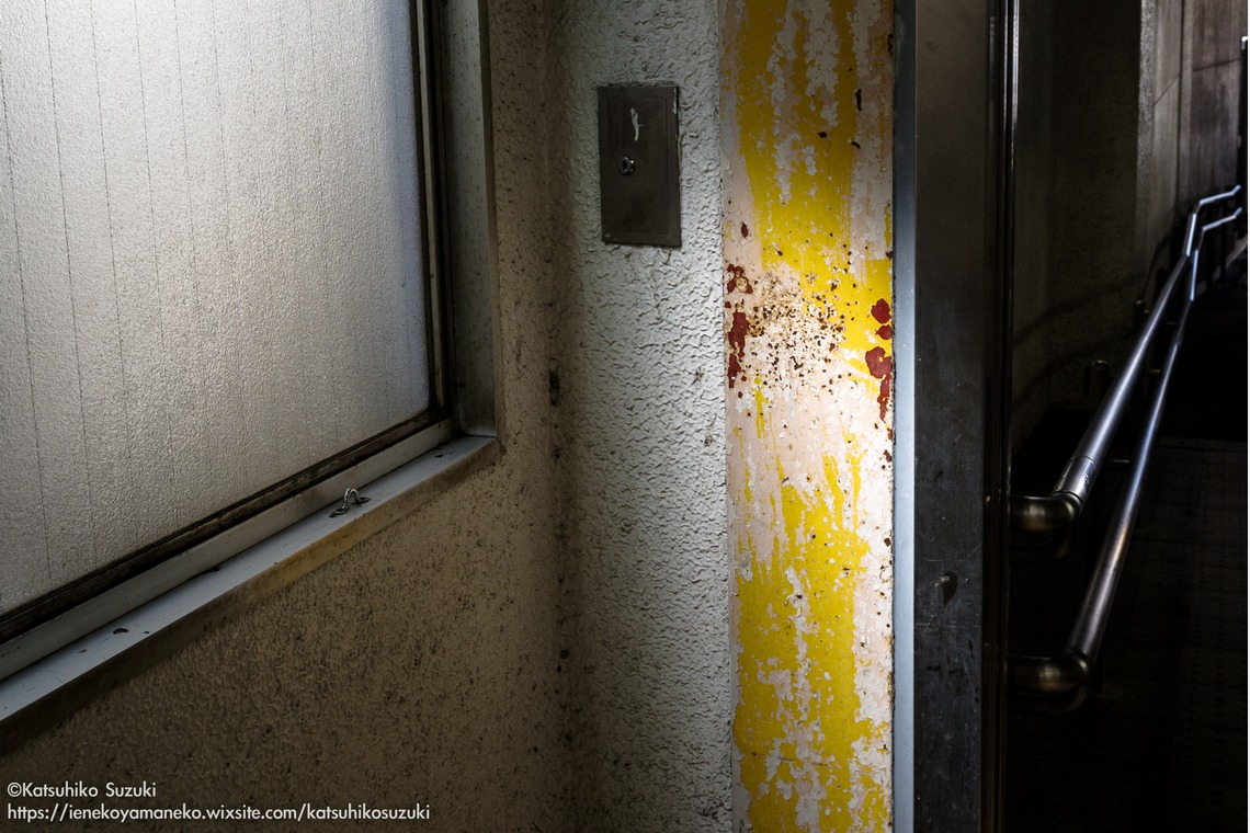 Katsuhiko Suzukiが撮影した「Portfolio」の写真