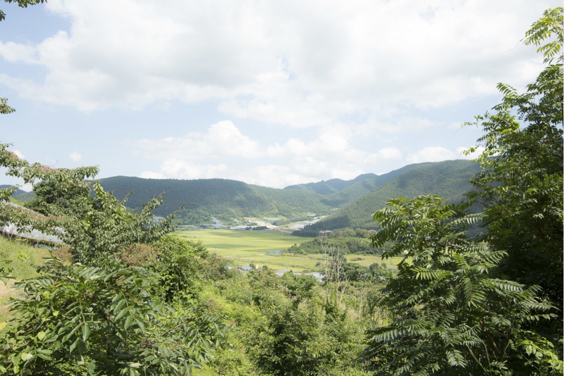 布川航太が撮影した「職人撮影-ワイナリー」の写真