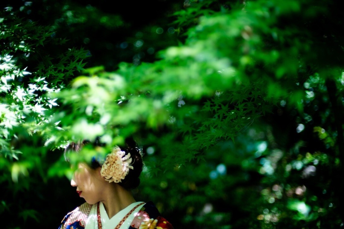 Album of the Kimono Shoot taken by sail - Kimono photography