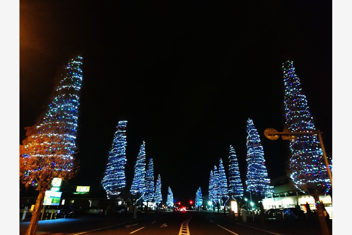 出張撮影のメモリーズが撮影した「nature-アラカルト」の写真
