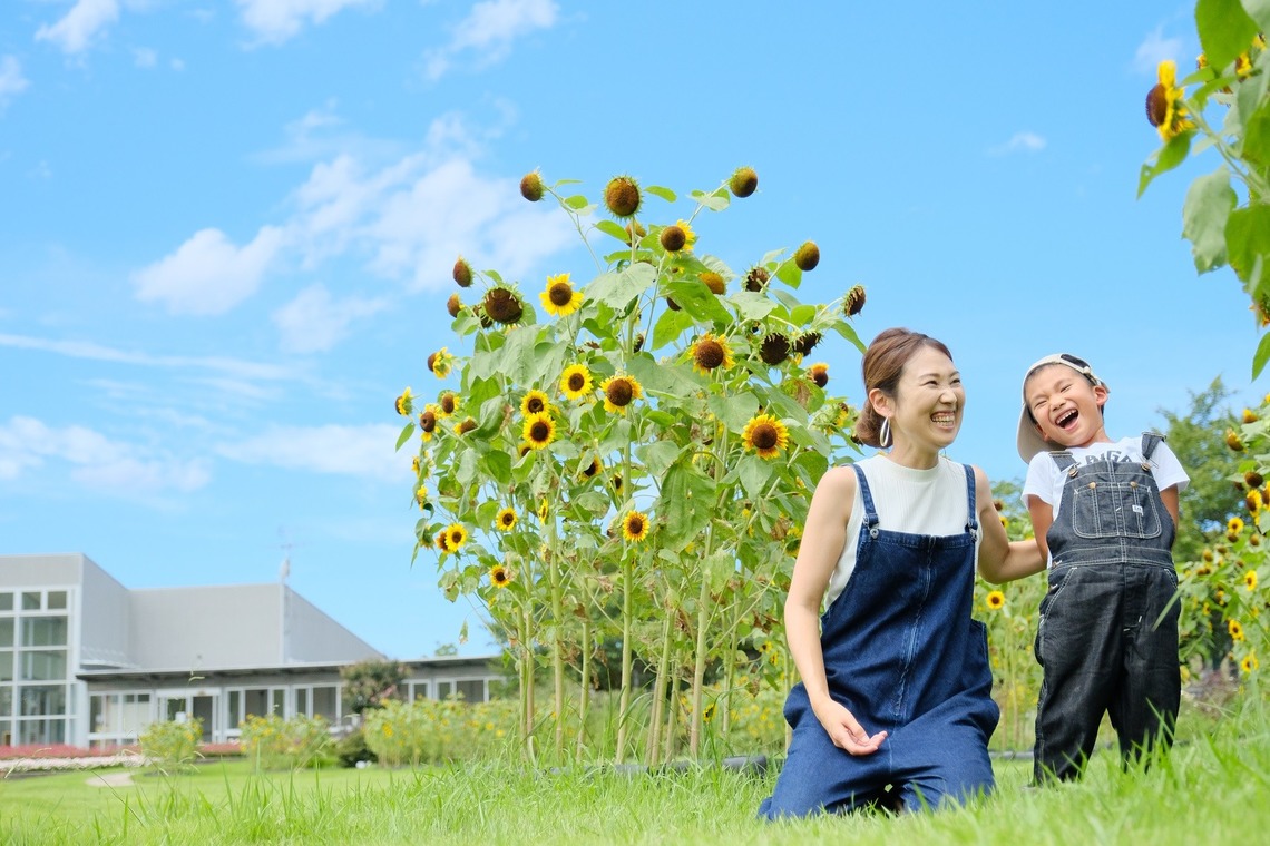 tomizoが撮影した写真のアルバム「お誕生日記念撮影＠しまね花の郷」