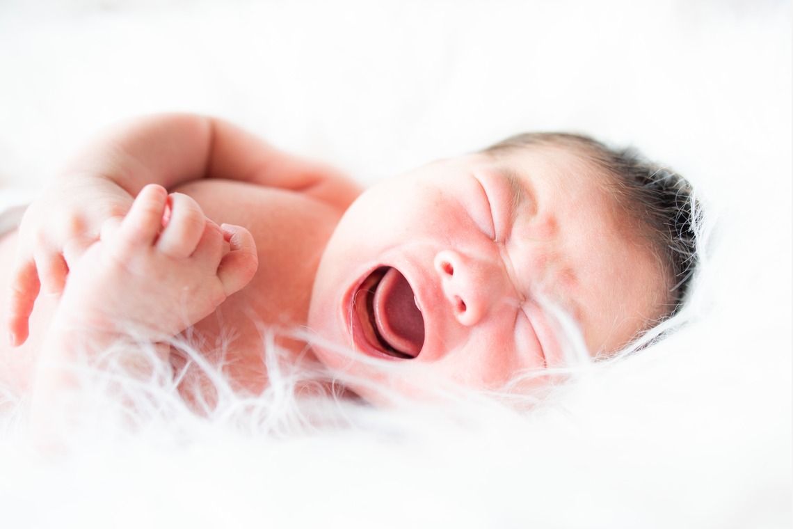 Acornが撮影した写真のアルバム「ニューボーンフォト」