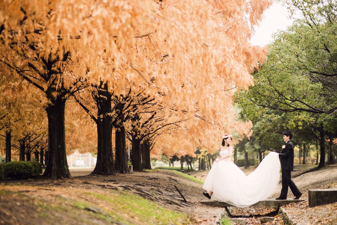 elle pupaが撮影した「滋賀」の写真