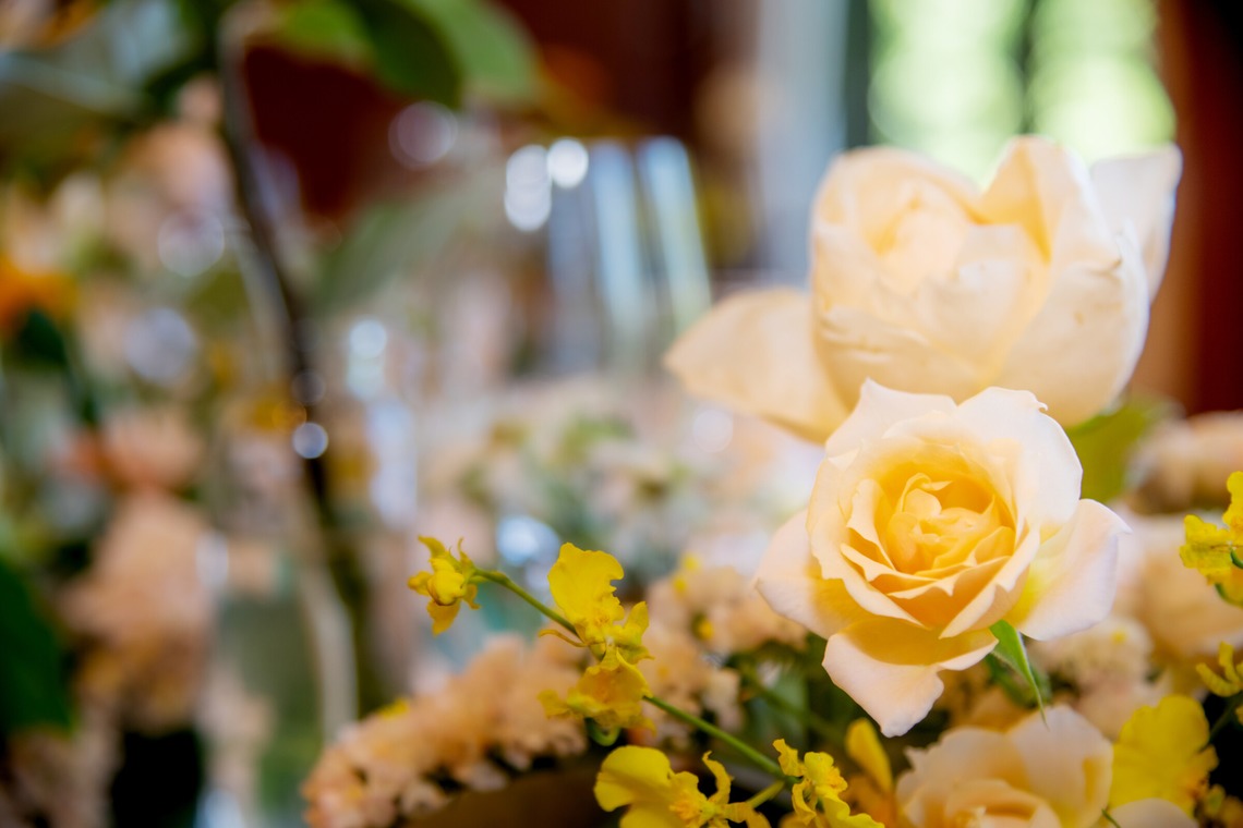 スタジオファンタスが撮影した写真のアルバム「ウェディングパーティー」