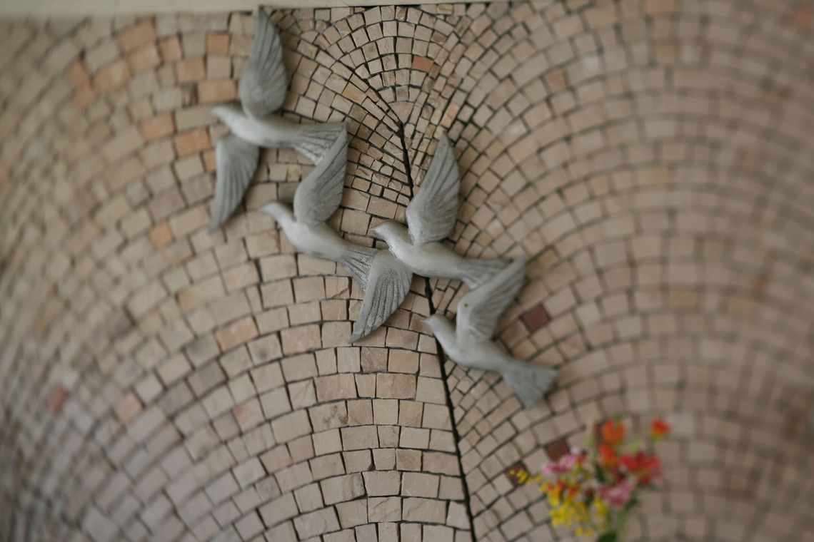 村田わかな広告写真が撮影した「茨城キリスト教大学」の写真