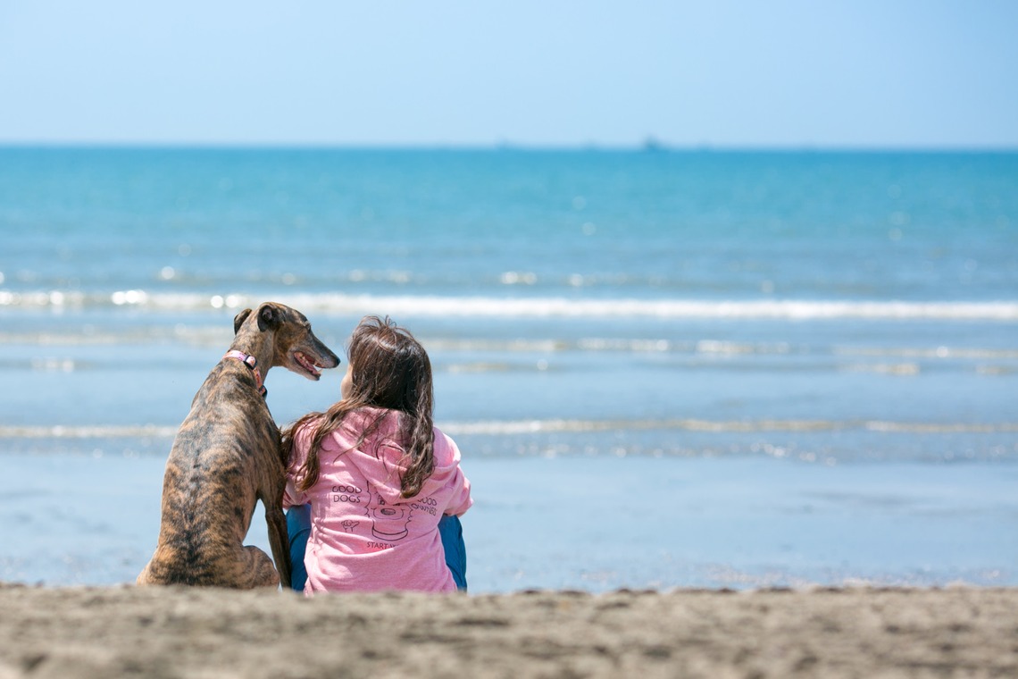 Keiko Yuzawaが撮影した「ペット」の写真