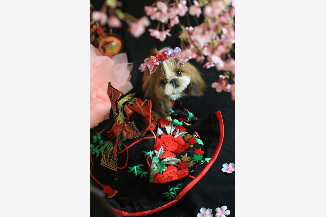 高橋 透（Coo&Sea STUDIO代表）が出張撮影した家族写真(キッズ,ベビーフォト)などが写った「お正月撮影会2020@新横浜Coo&Sea STUDIO」の家族写真