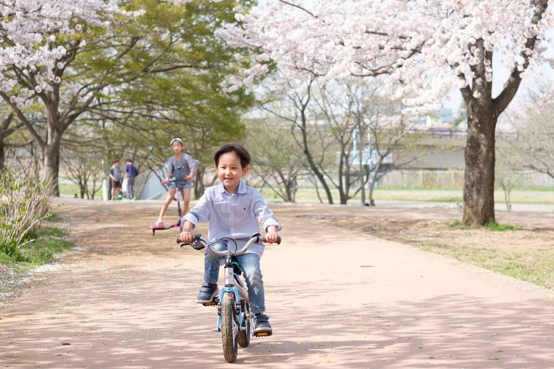 高野和希が撮影した写真のアルバム「桜での家族フォト」