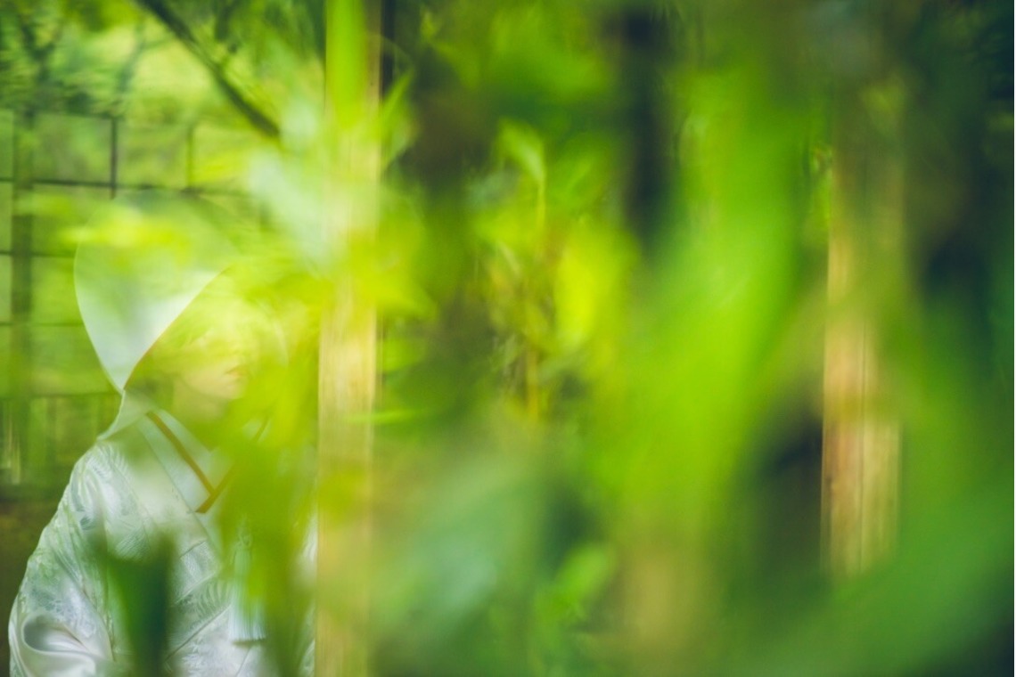 Album of the Kimono Shoot taken by sail - Kimono photography