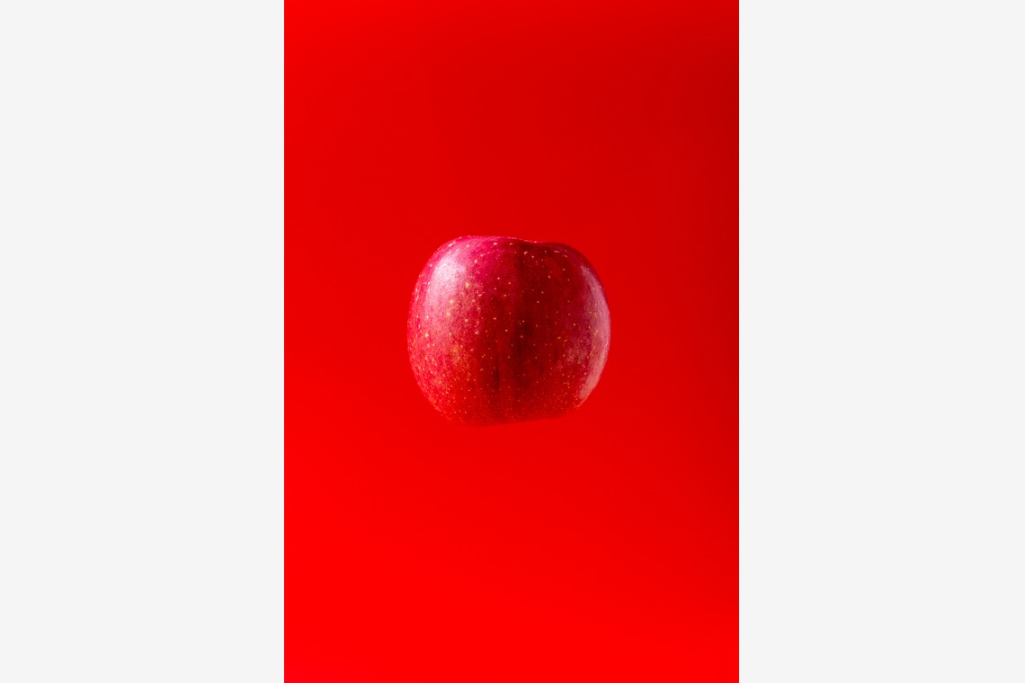 Hiroが撮影した「スタジオ、出張撮影」の写真