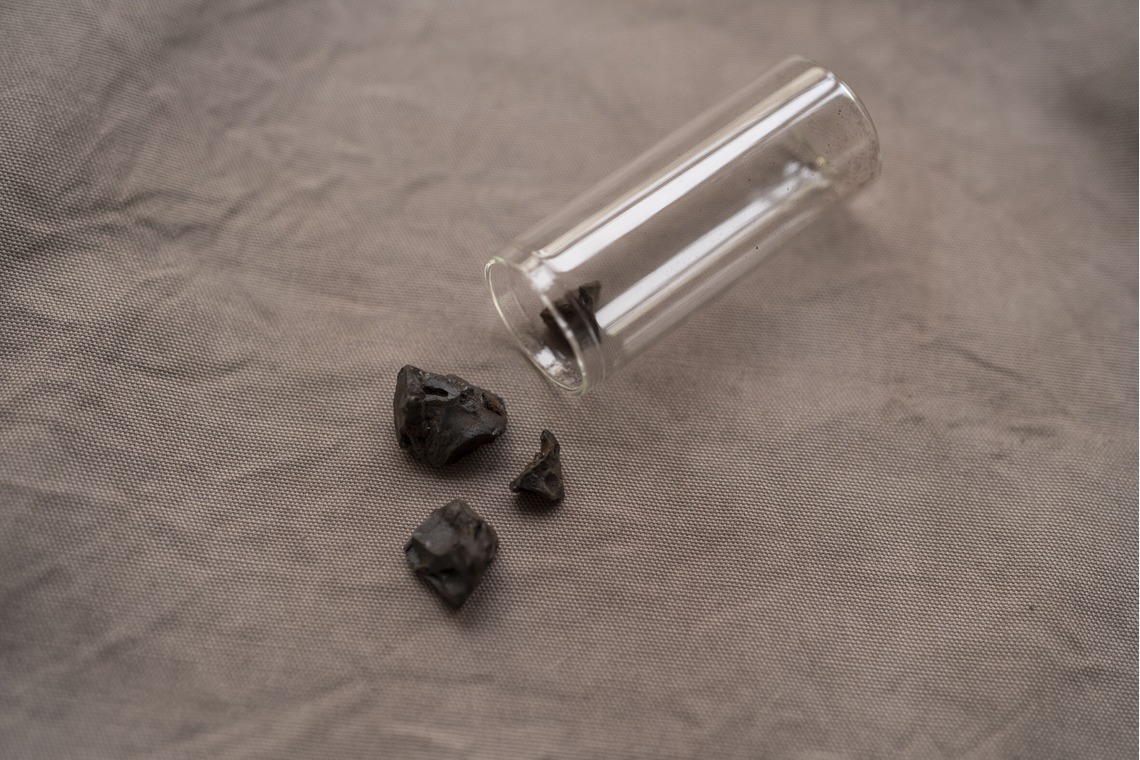 Hamuこども写真館が撮影した写真のアルバム「Hamu写真館」