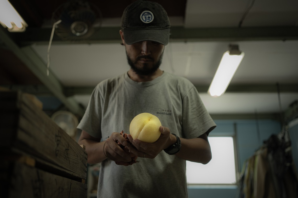 umimoyamamoworksが撮影した写真のアルバム「農家さん取材写真」