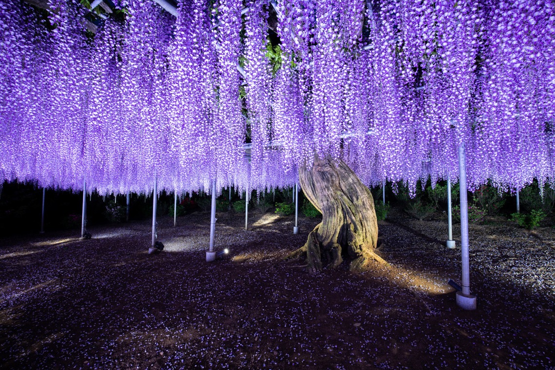 Create 4 Uが撮影した「各種撮影」の写真