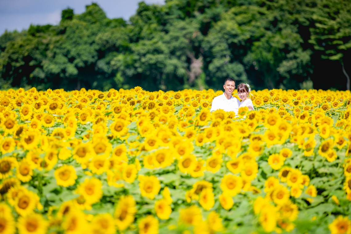 meganecco Photographyが撮影した写真のアルバム「結婚式前撮り」