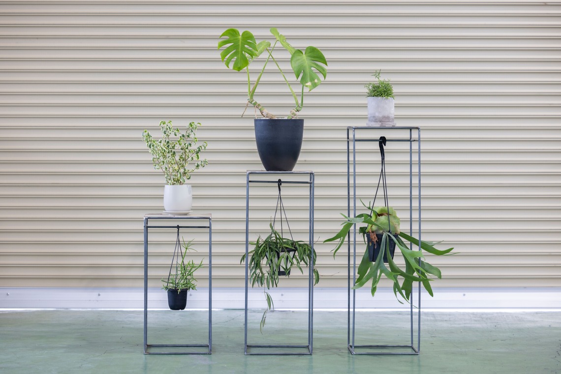 梅田　紫邑が撮影した「物撮り撮影」の写真