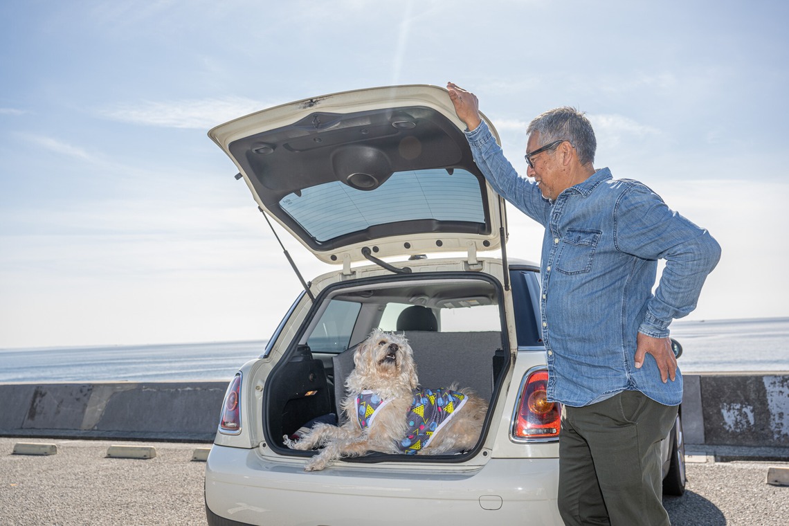 吉田佳央が撮影した「DOG SHOOTING」の写真