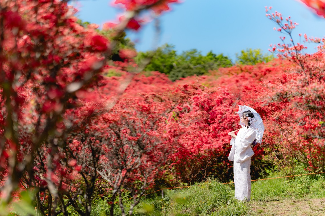 村松宏樹が撮影した写真のアルバム「HIROKI PHOTO」