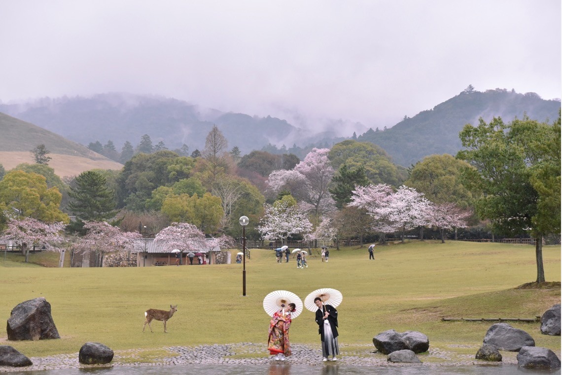 キキフォトワークスが撮影した「桜の季節の和装前撮り」の写真