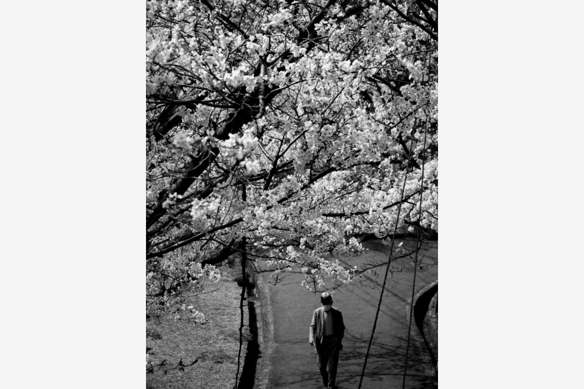 ハイナ　マテウス