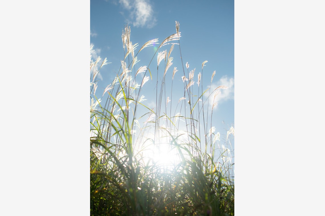 小野友輔が撮影した「山の写真」の写真