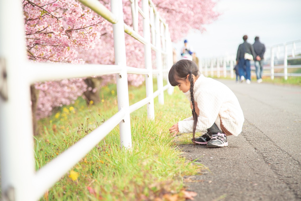 ゆのみふぉとが出張撮影した家族写真(キッズ,ベビーフォト)などが写った「桜とお写真」の家族写真