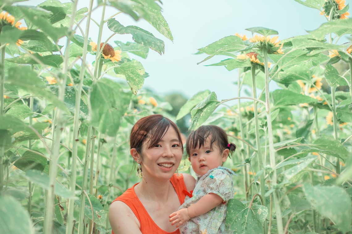 K.しんやが出張撮影した家族写真(キッズ,ベビーフォト)などが写った「長居植物園のひまわり畑」の家族写真