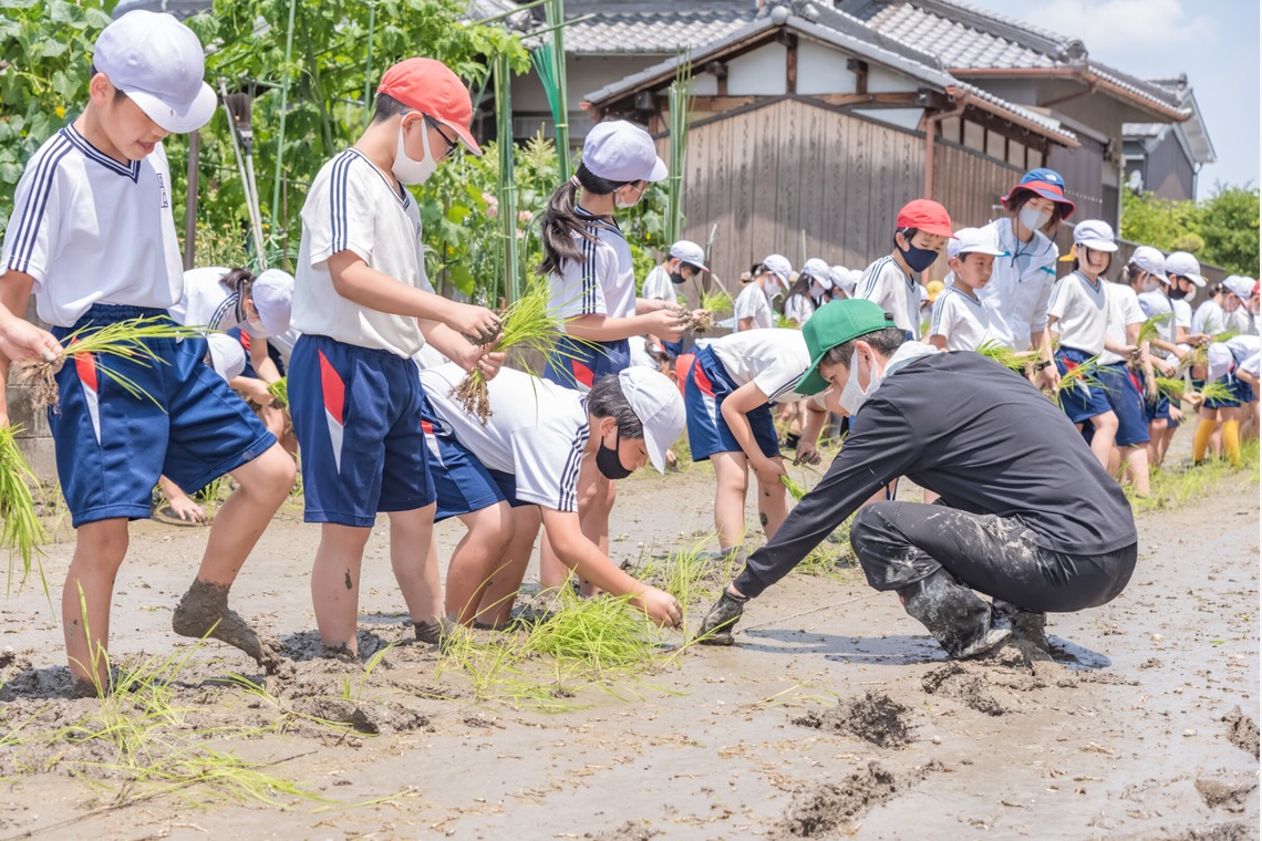 フォトスタジオ　ちっくたっくが撮影した「小学校」の写真