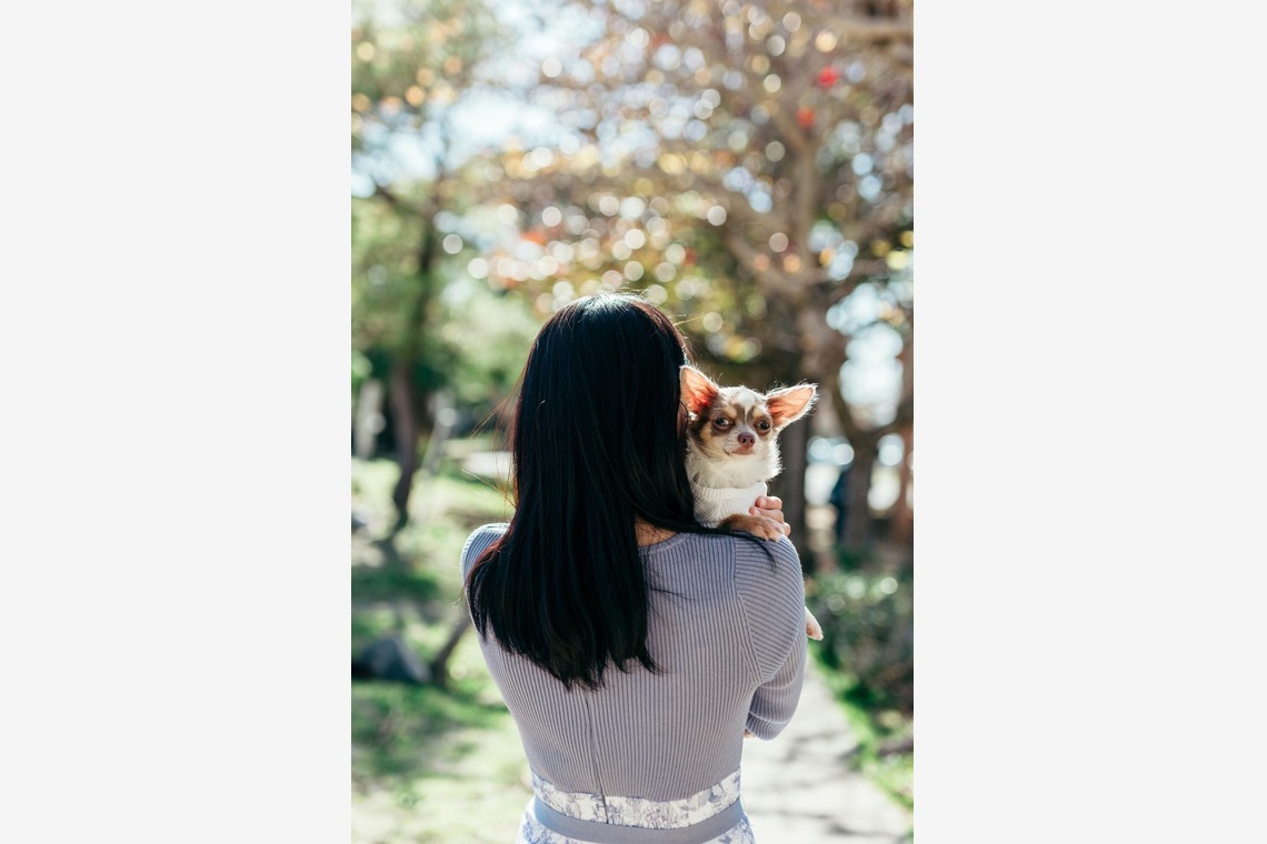 ポートレート沖縄が出張撮影した家族写真(キッズ,ベビーフォト)などが写った「ペット撮影」の家族写真