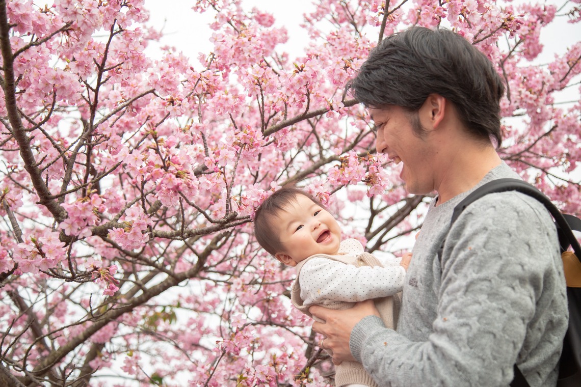 ゆのみふぉとが撮影した家族写真の出張撮影のアルバム「桜とお写真」