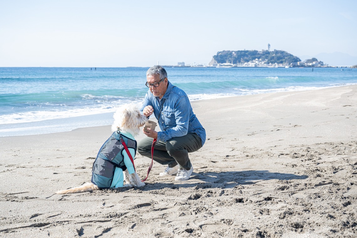 吉田佳央が撮影した「DOG SHOOTING」の写真