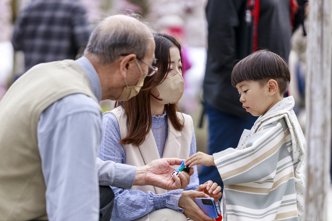 Sugar Cubesが撮影した七五三フォトのアルバム「七五三撮影」